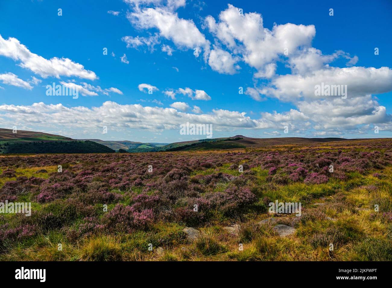 Lago artificiale di Ladybower visto dall'alto, da Derwent Edge, Peak District National Park, Derbyshire, Regno Unito Foto Stock