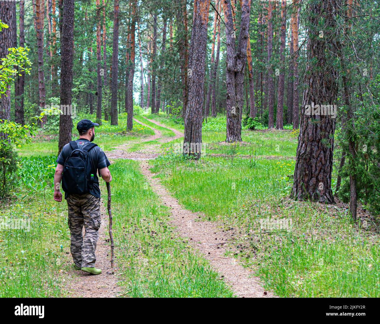 Un turista solistico in berretto con uno zaino cammina lungo un sentiero nella foresta. Foto Stock