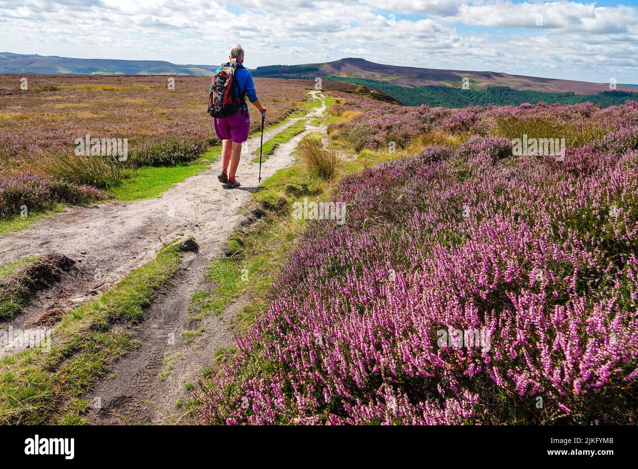 Lone femmina escursionista sopra Ladybower Reservoir visto dall'alto, da Derwent Edge, Peak District National Park, Derbyshire, Regno Unito Foto Stock