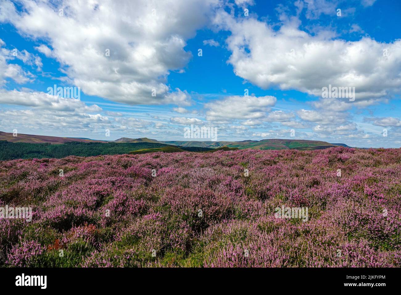 Lago artificiale di Ladybower visto dall'alto, da Derwent Edge, Peak District National Park, Derbyshire, Regno Unito Foto Stock