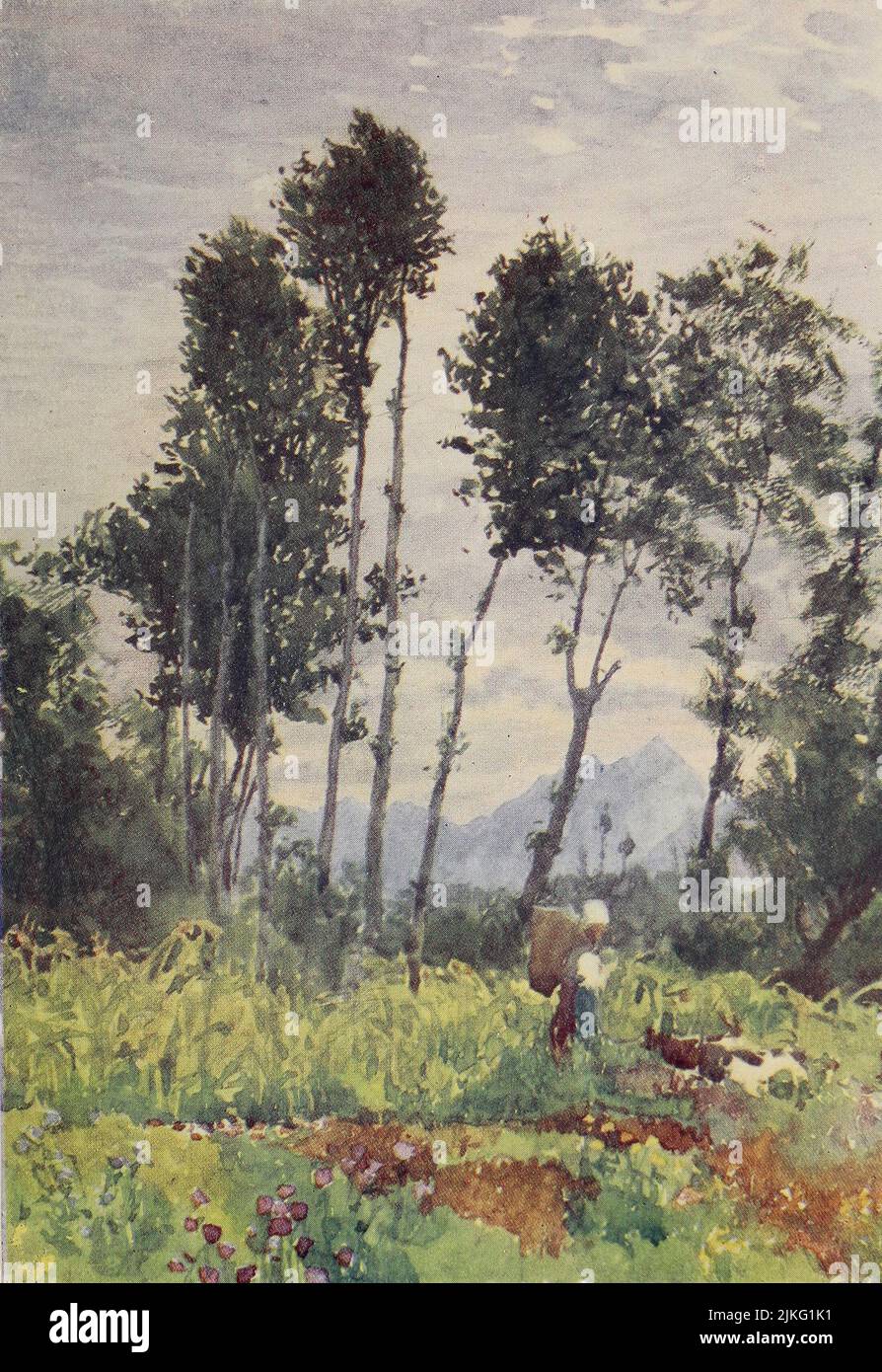 In Val d’Aosta dipinta da A. D. McCormick dal libro 'le Alpi' di Sir William Martin Conway, Pubblicazione data 1904 Editore Londra : Adam e Charles Black Arthur David McCormick FRGS (Coleraine, 14 ottobre 1860 – 1943) è stato un illustratore e pittore britannico di paesaggi, scene storiche, soggetti navali e scene di genere. Foto Stock