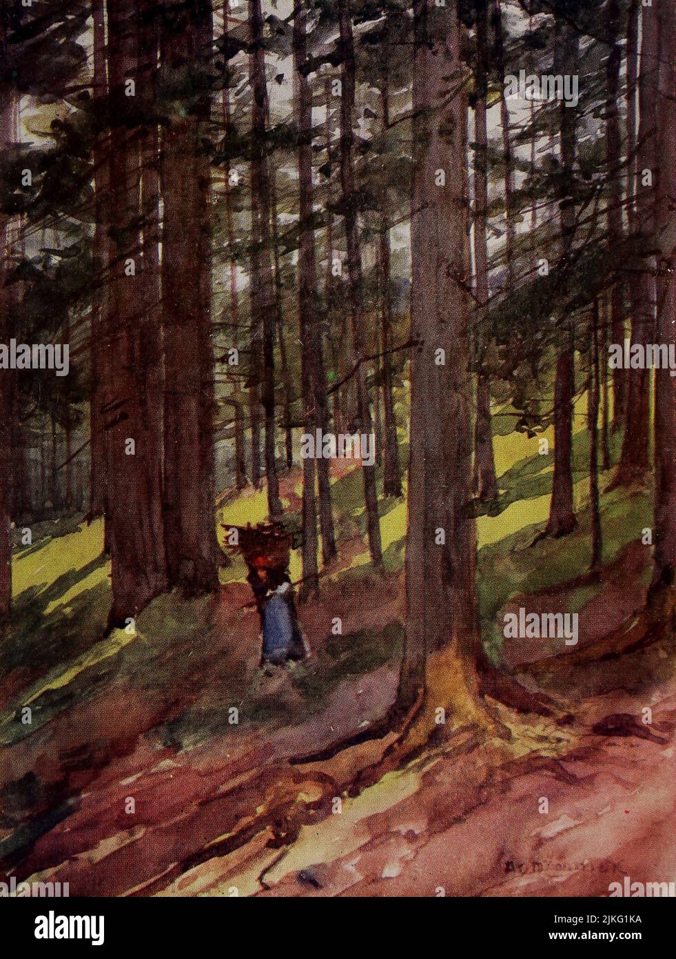 Nei boschi di Chamonix dipinto da A. D. McCormick dal libro 'le Alpi' di Sir William Martin Conway, Pubblicazione data 1904 Editore Londra : Adam e Charles Black Arthur David McCormick FRGS (Coleraine, 14 ottobre 1860 – 1943) è stato un illustratore e pittore britannico di paesaggi, scene storiche, soggetti navali e scene di genere. Foto Stock