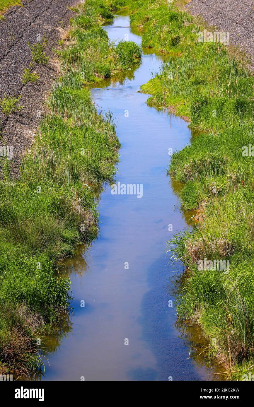 11.05.2022, Germania, Renania Settentrionale-Vestfalia, Bottrop - Renaturalized Boye, il affluente dell'Emscher, è stato trasformato in un watercour quasi naturale Foto Stock