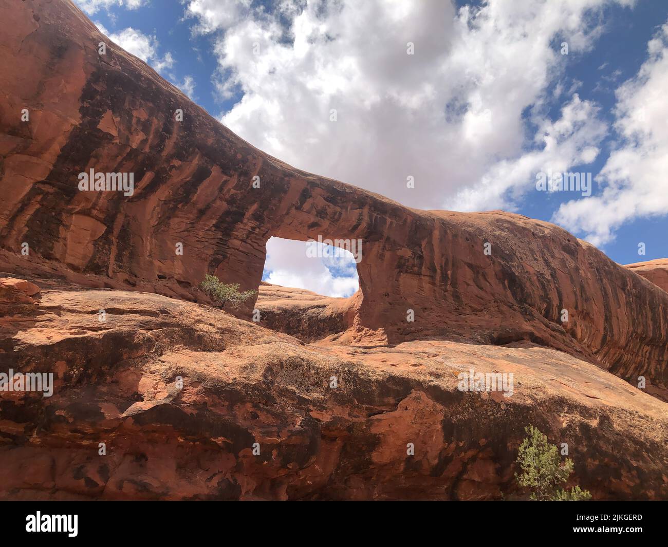 Picture Frame Arch in pietra arenaria di Entrada con strisce di varnich deserto sulla Butte pietra solitaria vicino a Moab, Utah. Foto Stock