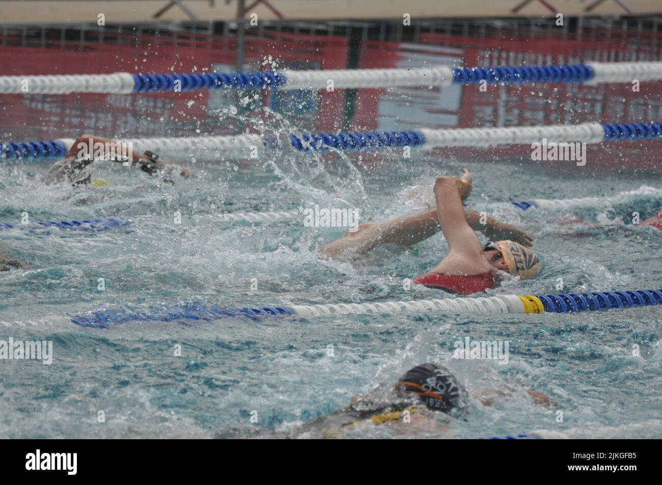 Atleti in piscina durante una gara di nuoto Foto Stock