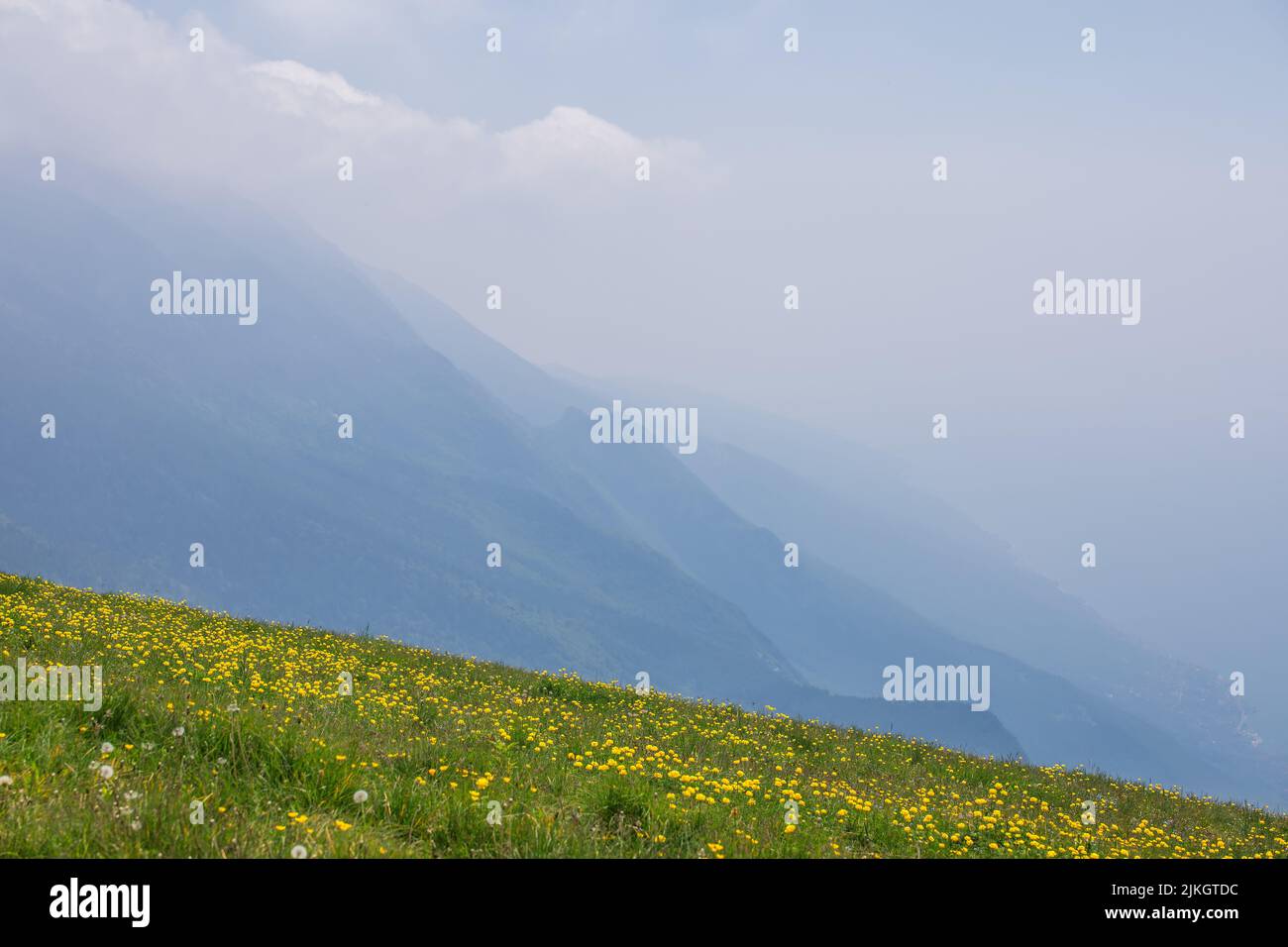 Alte pendici alpine del Lago di Garda Costa orientale in estate foschia, in primo piano un prato alpino con fiori gialli di tazzina di farfalle. Lombardia, Italia Foto Stock