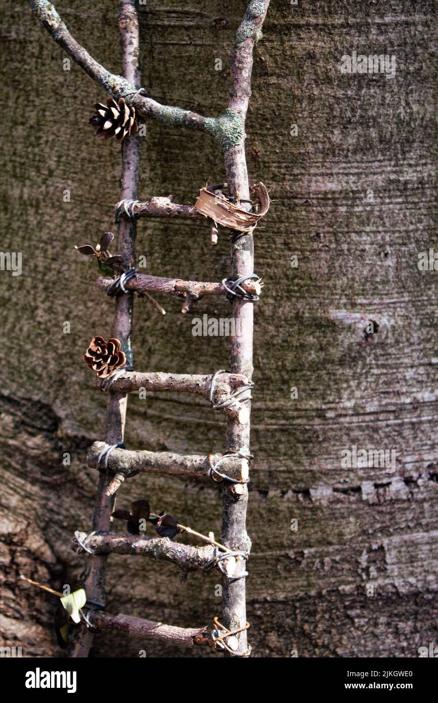 Una verticale di una breve scala di legno appoggiata su un tronco di albero gigante Foto Stock