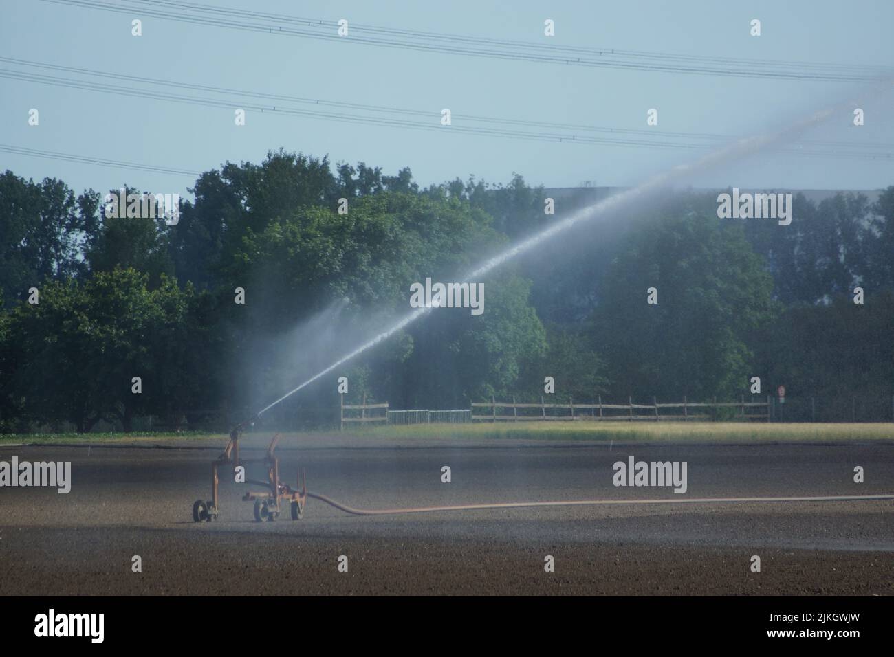 Irrigazione di un campo appena seminato in estate in Assia, Germania. La fontana di spruzzo combatte contro la siccità per salvare il raccolto. Foto Stock
