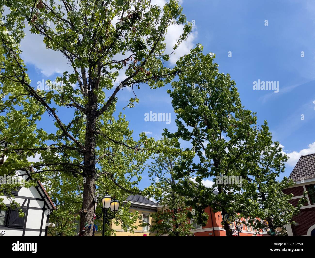 Folla di persone che camminano per strada a Roermond Foto Stock