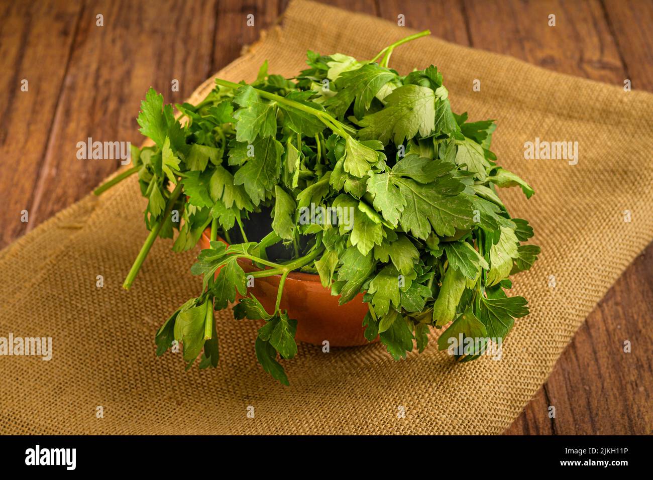 Un primo colpo di prezzemolo verde fresco (Petroselinum crispum) in una pentola Foto Stock