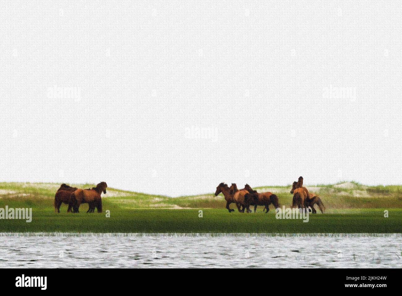 Gruppo di cavalli - stalloni che iniziano a inseguire l'un l'altro sulla riserva di Rachel Carson, composta da Town Marsh, Carrot Island, Bird Shoal e Horse Island. Foto Stock