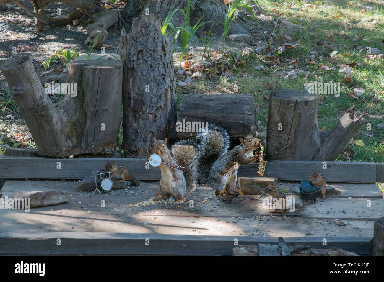 Gli scoiattoli e i pippunchi suonano su strumenti musicali Foto Stock