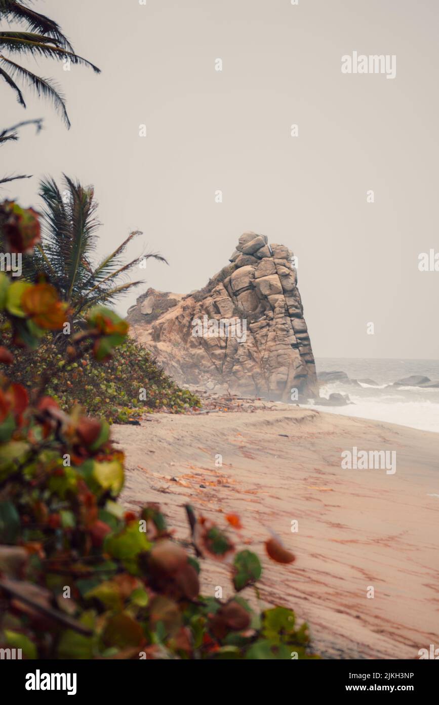 Una verticale di una spiaggia sabbiosa coperta di rocce e piante contro un mare in una giornata nuvolosa Foto Stock