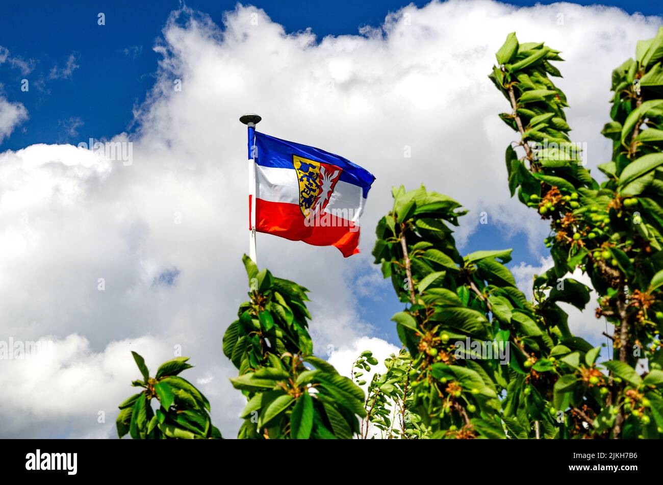 La bandiera dello Schleswig-Holstein vicino alle foglie contro le nuvole Foto Stock