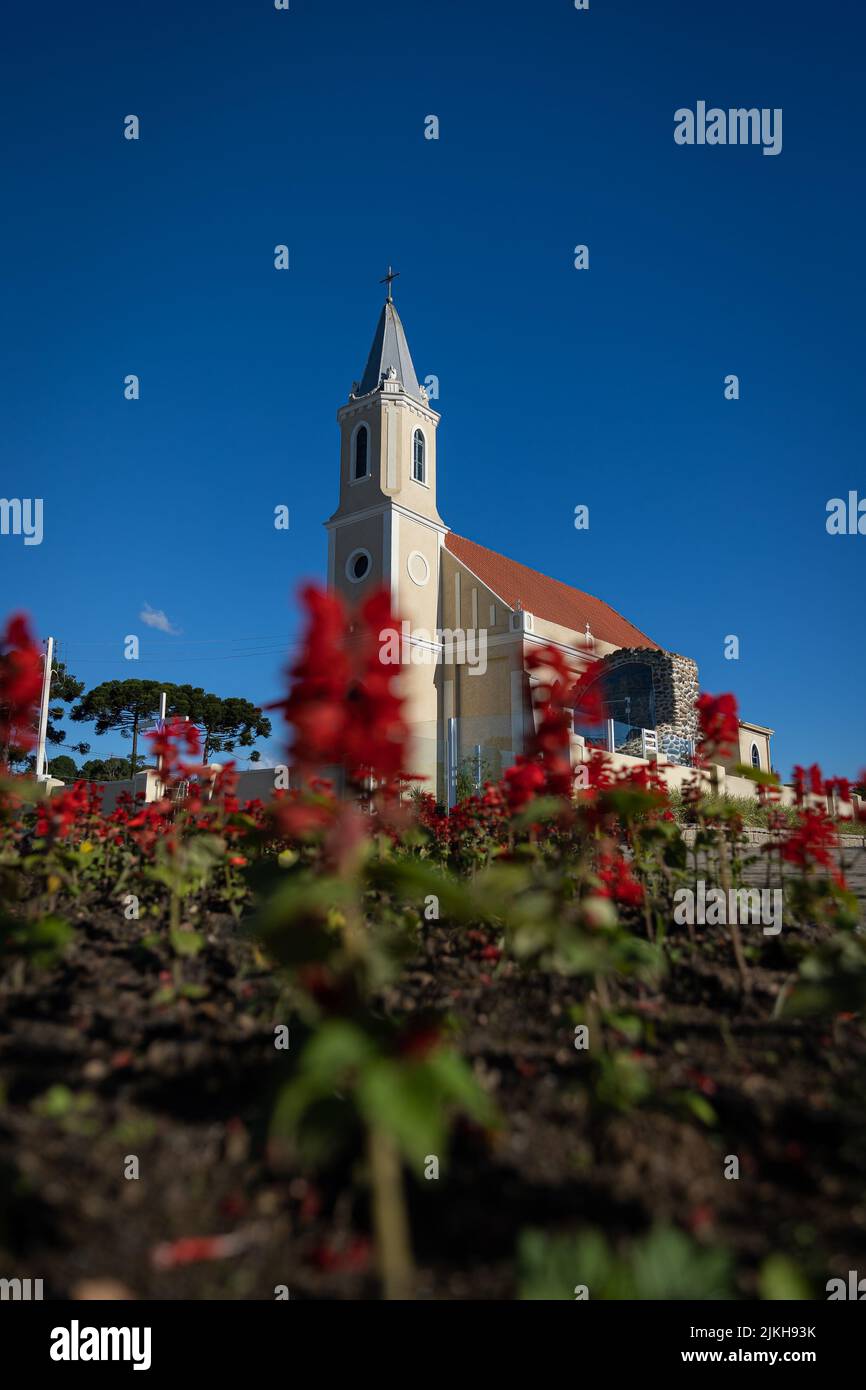 Un angolo basso di fiori rossi che crescono contro una chiesa cattolica contro un cielo blu senza nuvole Foto Stock