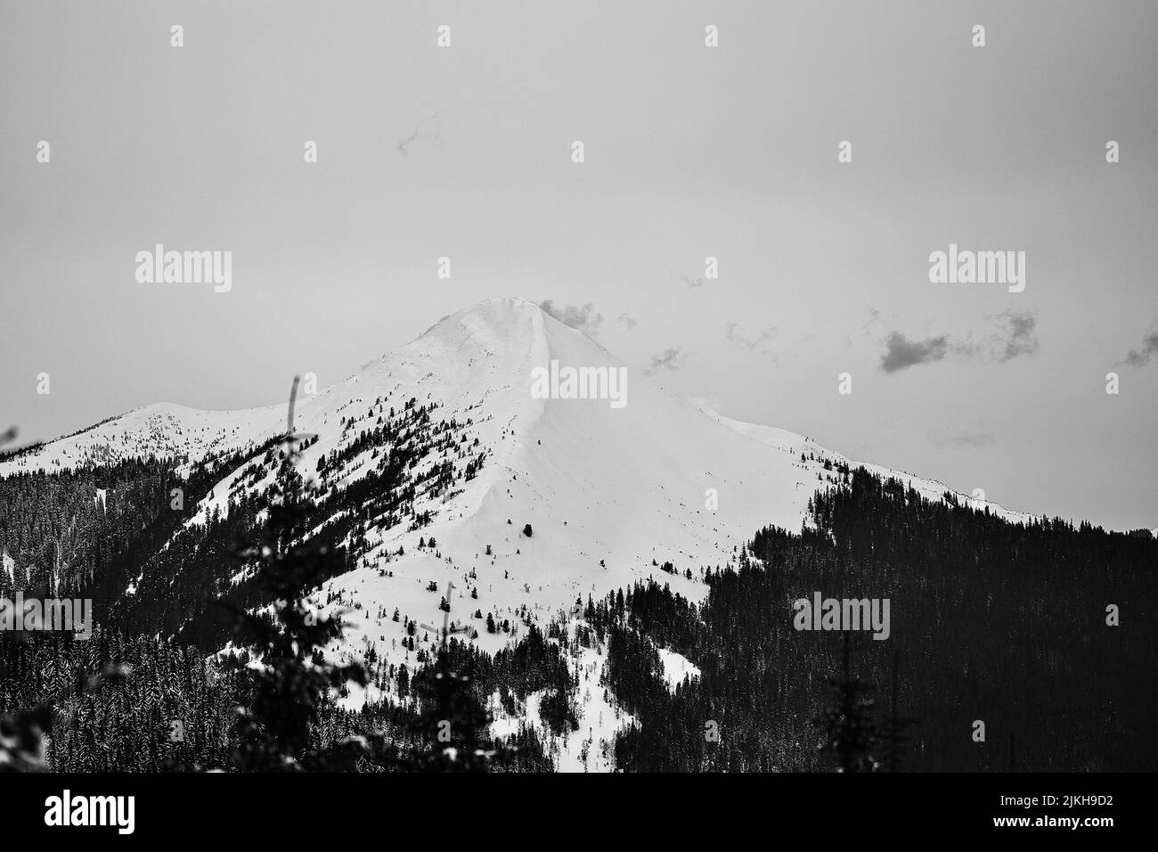 Una scala di grigi di cima innevata di montagna contro il cielo scuro Foto Stock