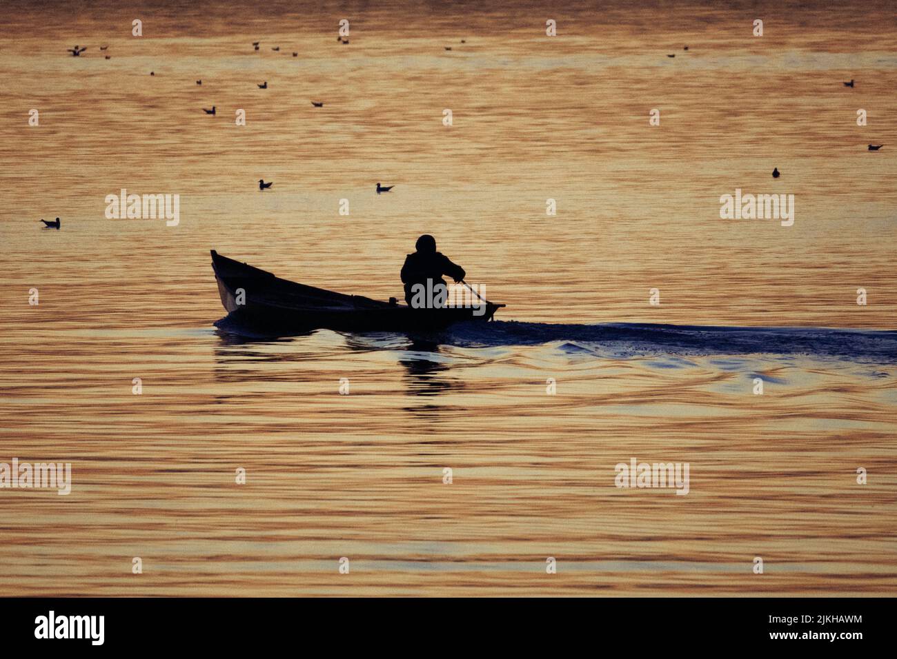 Una bella vista di una persona su una barca in un lago con uccelli nuoto Foto Stock