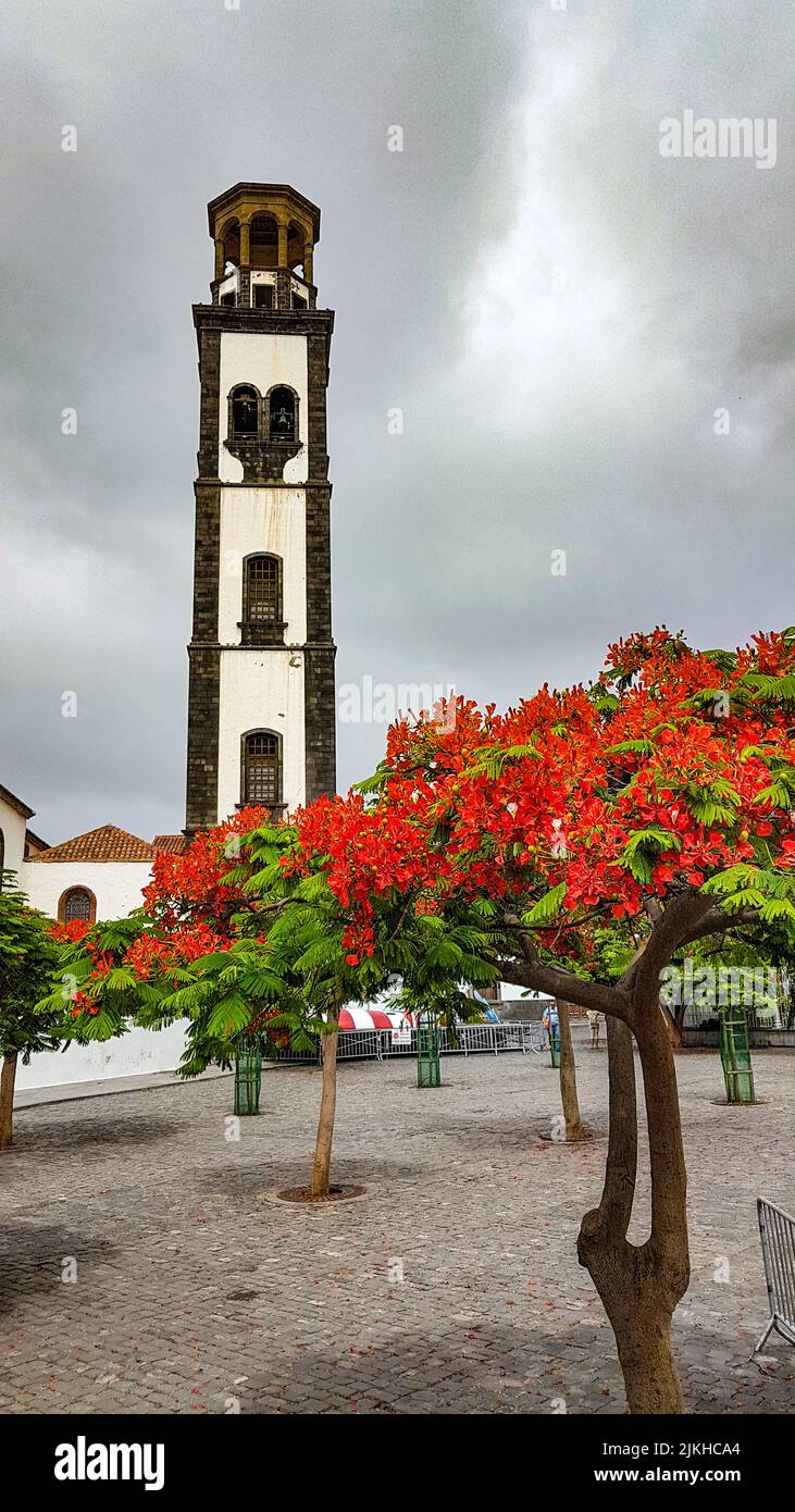 Uno scatto verticale del campanile della Chiesa dell'Immacolata Concezione a Santa Cruz de Tenerife, Spagna Foto Stock