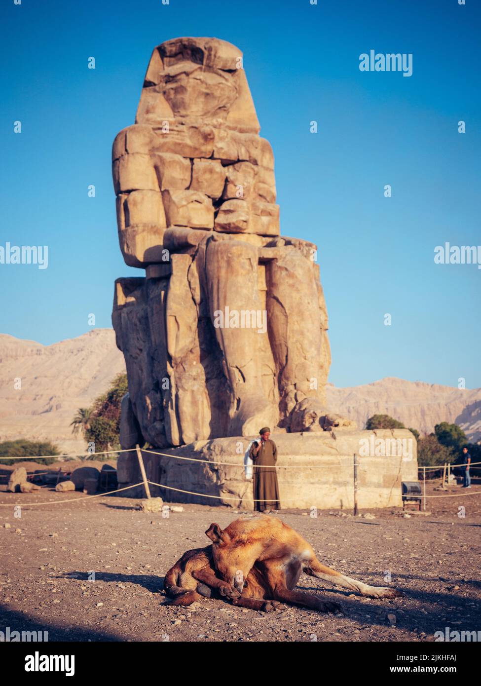 Un cane sdraiato a terra e un Colossi di Memnon, punto di riferimento storico in Egitto Foto Stock
