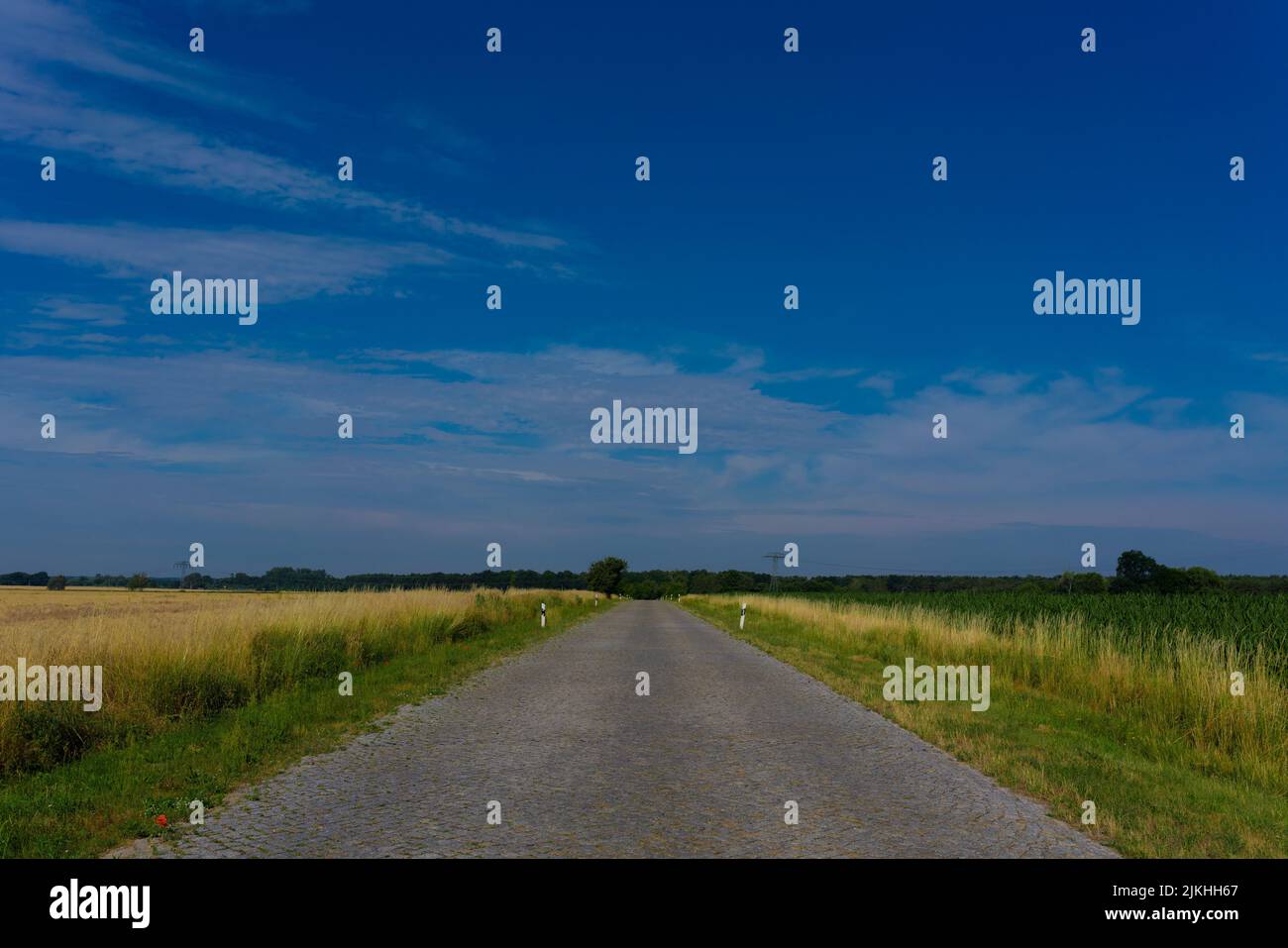 Strada asfaltata in estate in Germania, poche nuvole nel cielo Foto Stock