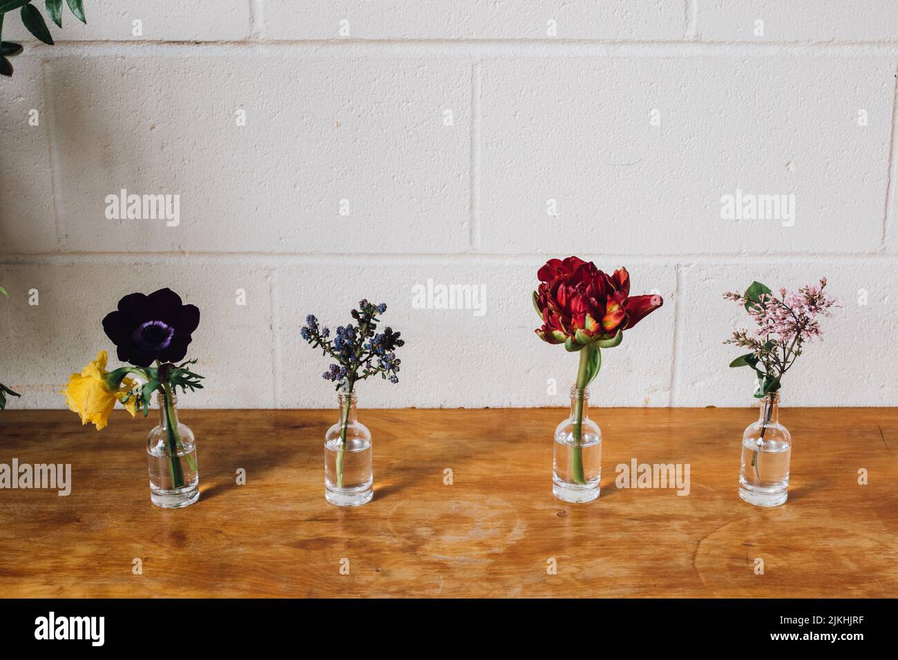 fiori floreali rossi, viola, lilla, gialli in piccole bottiglie di liquore contro muro di mattoni bianchi. spazio copia. Foto Stock