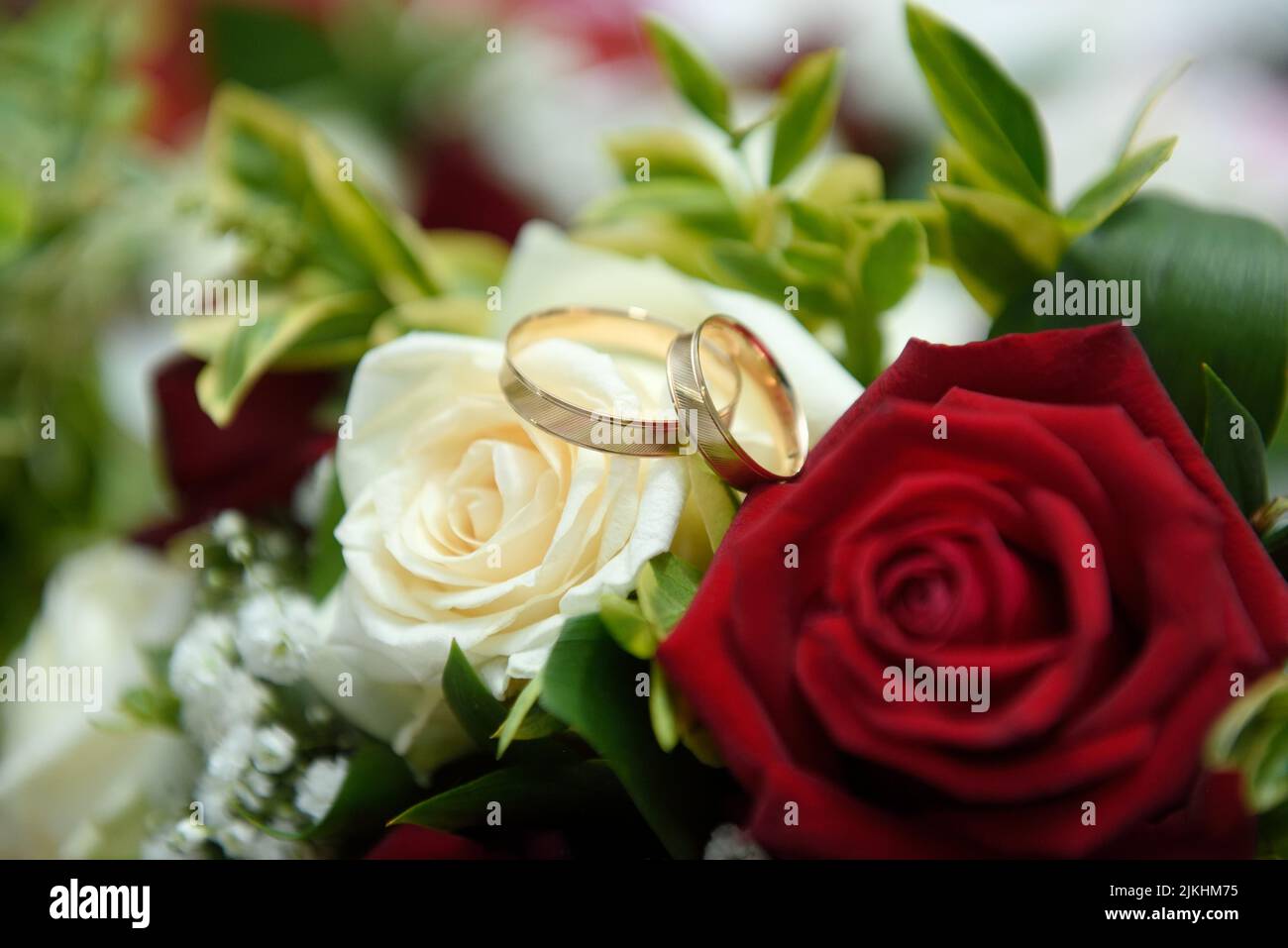 Un primo piano di due anelli di nozze su rose bianche e rosse Foto Stock