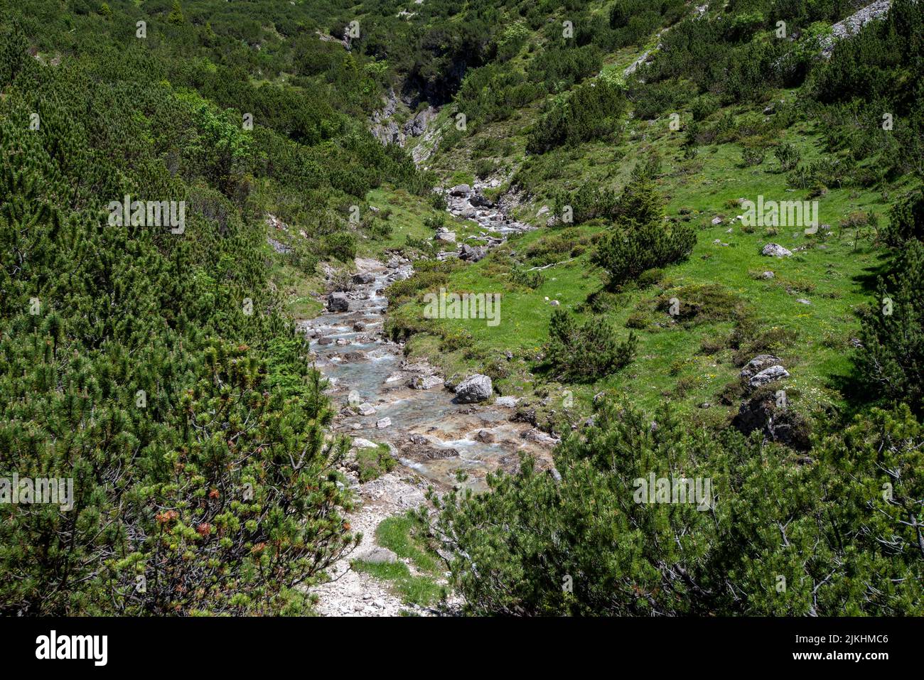 Torrente di montagna, discesa da Mädelejoch a Holzgau, European Long Distance Trail E5, Tirolo, Austria Foto Stock