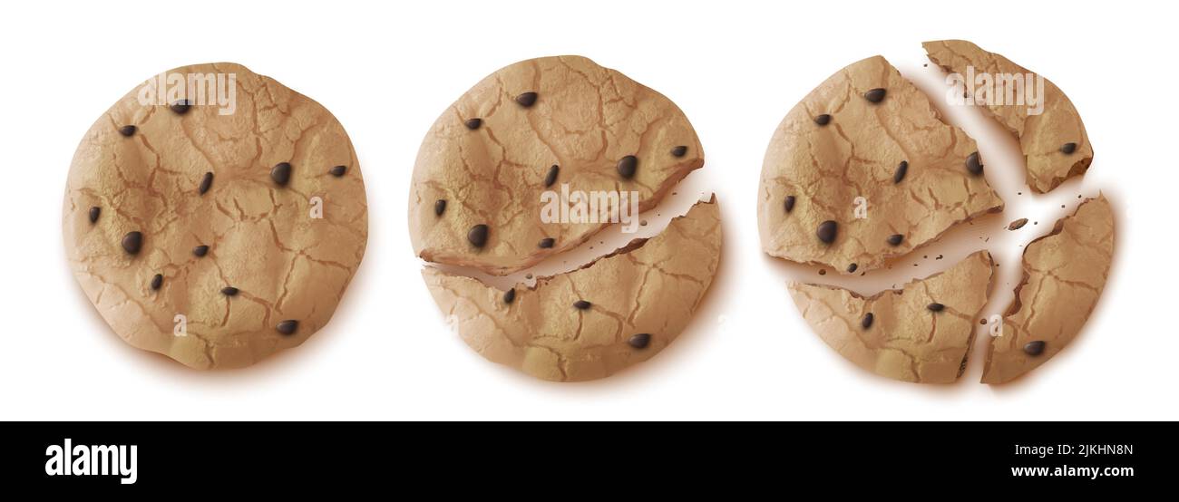 Biscotti di farina d'avena con gocce di cioccolato vista dall'alto, snack cracket crackle intero e incrinato isolato su sfondo bianco. Dolci croccanti rotondi fatti in casa, panetteria dolce, pasticceria di cereali realistic 3D vettore Illustrazione Vettoriale Biscotti di farina d'avena con gocce di cioccolato vista dall'alto, snack cracket crackle intero e incrinato isolato su sfondo bianco. Dolci croccanti rotondi fatti in casa, panetteria dolce, pasticceria di cereali realistic 3D vettore Illustrazione Vettoriale