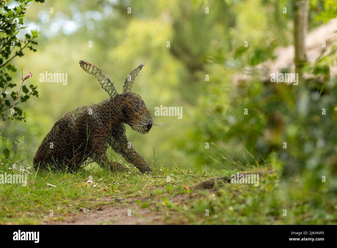 Scultura in filo metallico di una lepre nella riserva naturale norfolk, filo di pollo a forma di rassomigliare ad un'intaccatura di lepre e agli agenti atmosferici in un'area boschiva aperta copia spazio Foto Stock