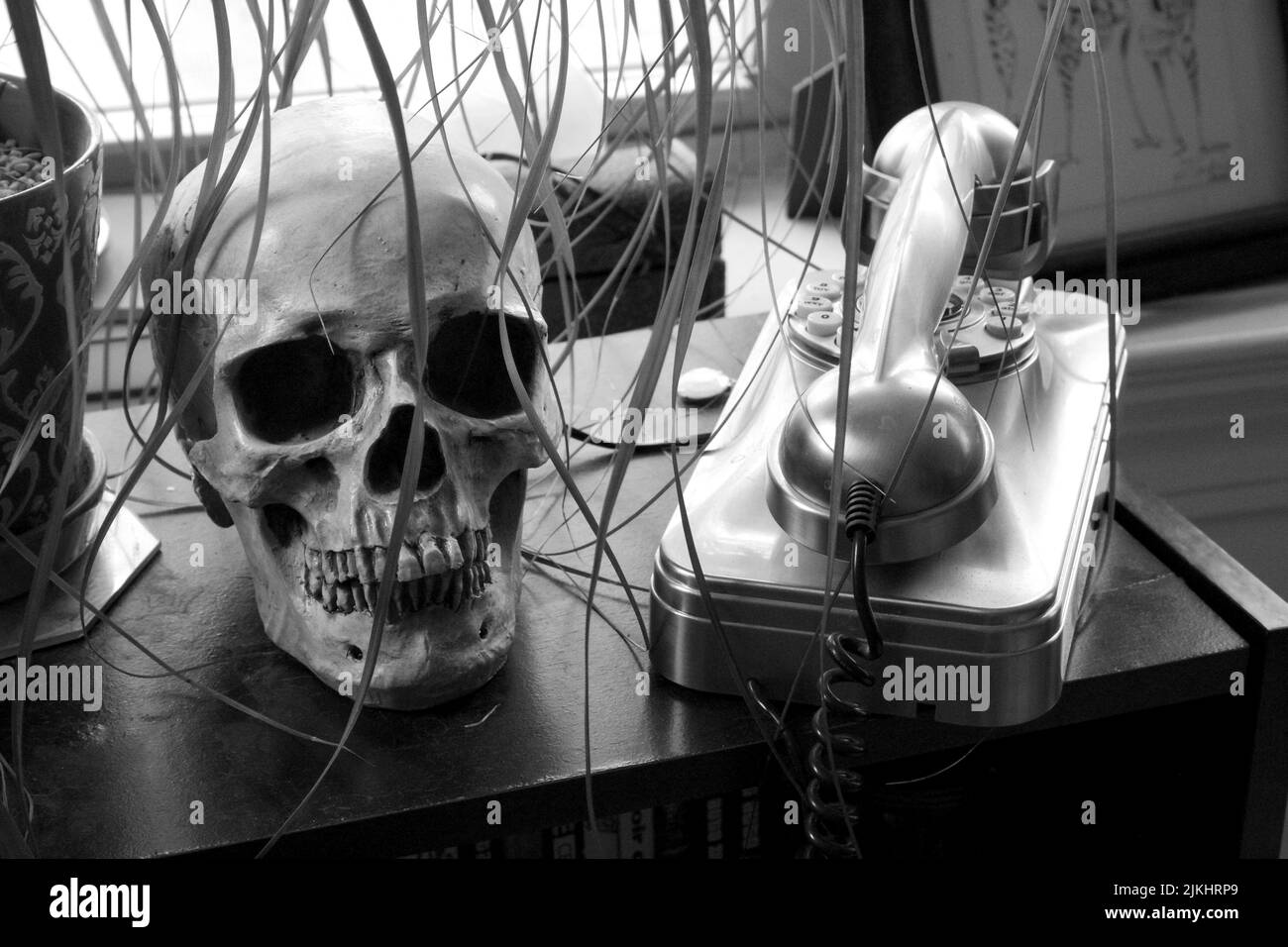 Un primo piano in scala di grigi di un cranio e di un telefono vintage su un tavolo Foto Stock