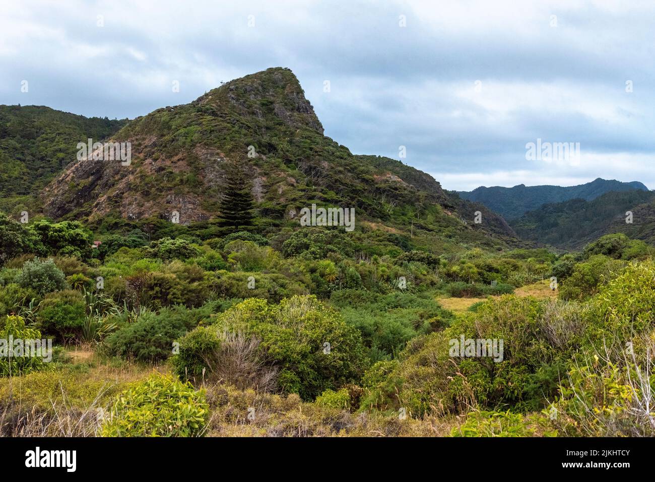 Vista tranquilla sulla valle della spiaggia di Whatipu, Auckland in Nuova Zelanda Foto Stock