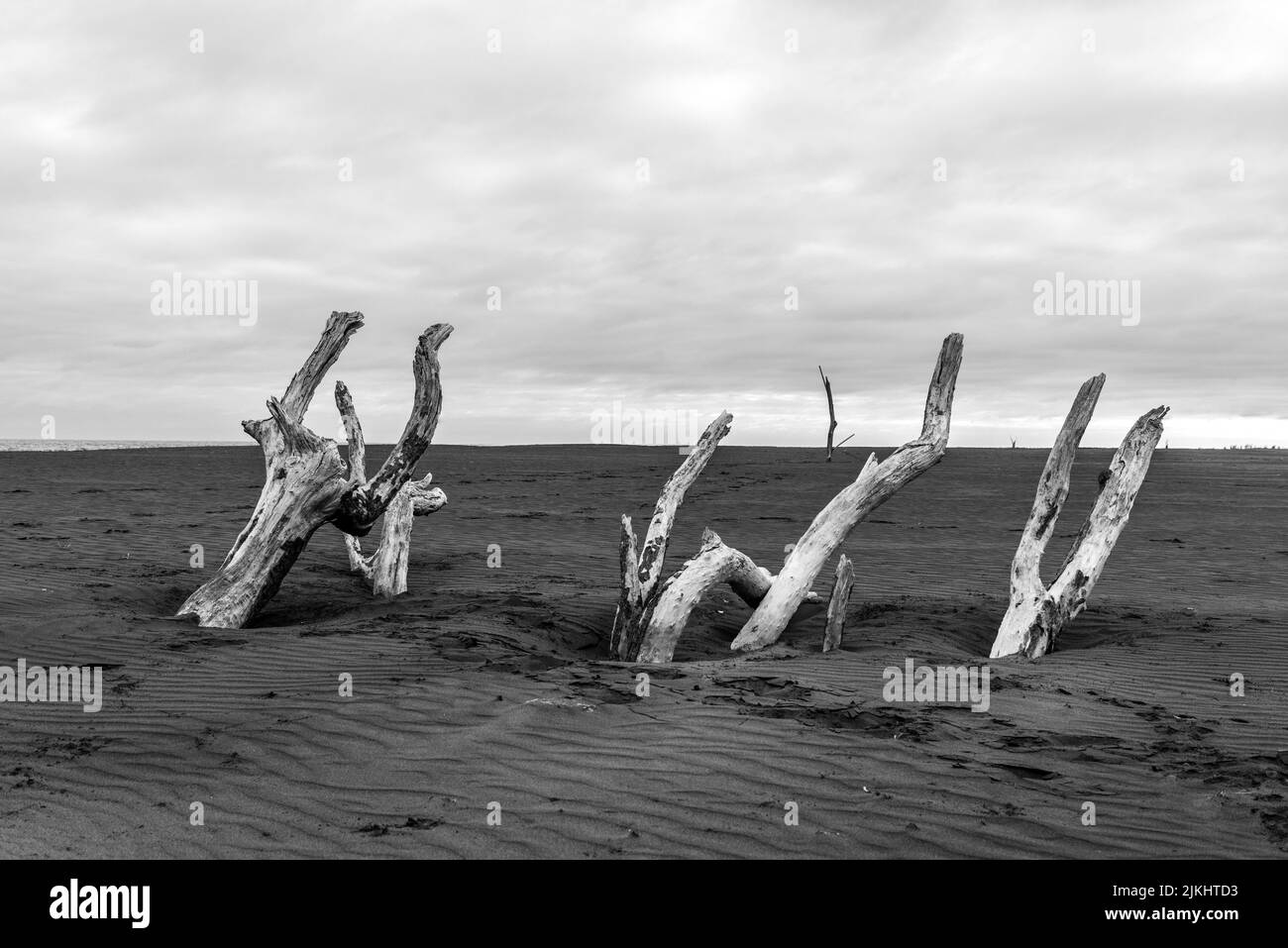 Sabbia di colore scuro sulla spiaggia di Whatipu vicino Auckland, Nuova Zelanda Foto Stock