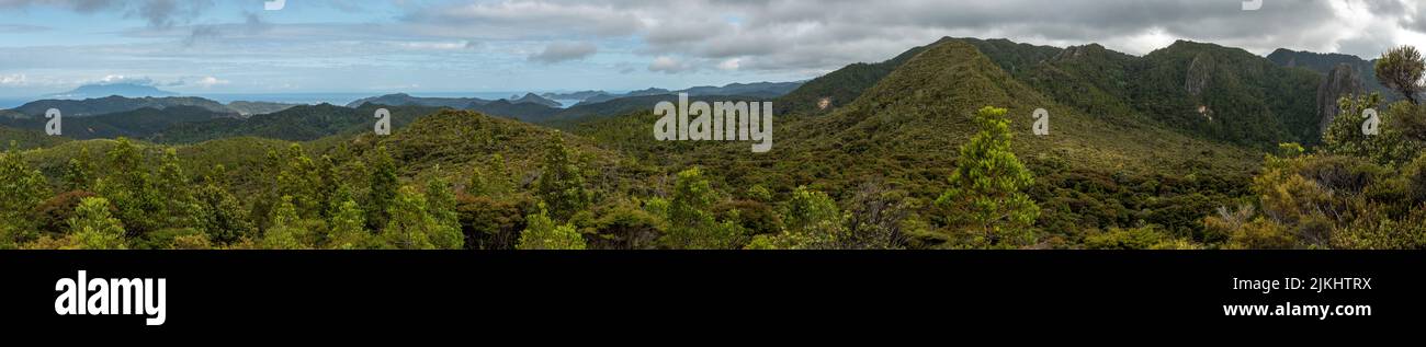 Tranquillo paesaggio montano di Great Barrier Island, Nuova Zelanda Foto Stock