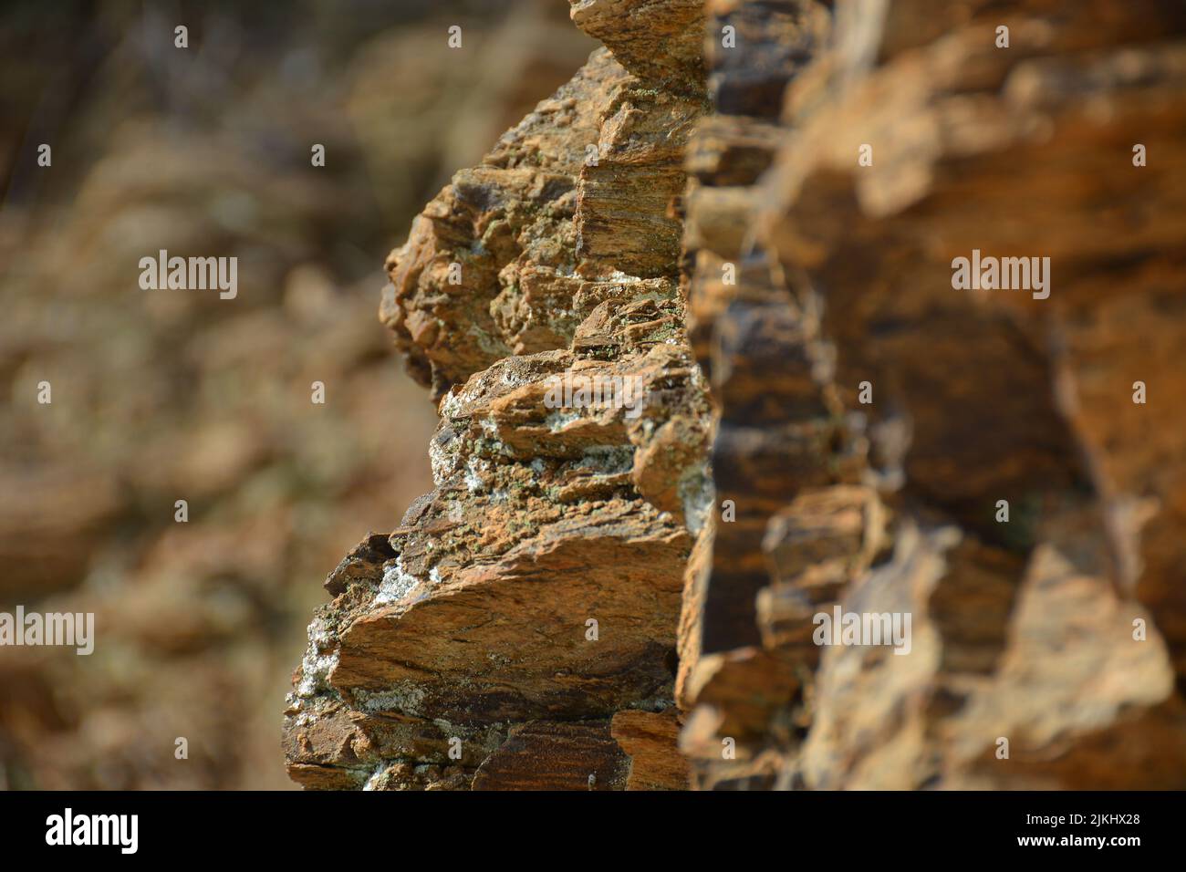 Un fuoco selettivo sparato di rocce affilate nel deserto Foto Stock