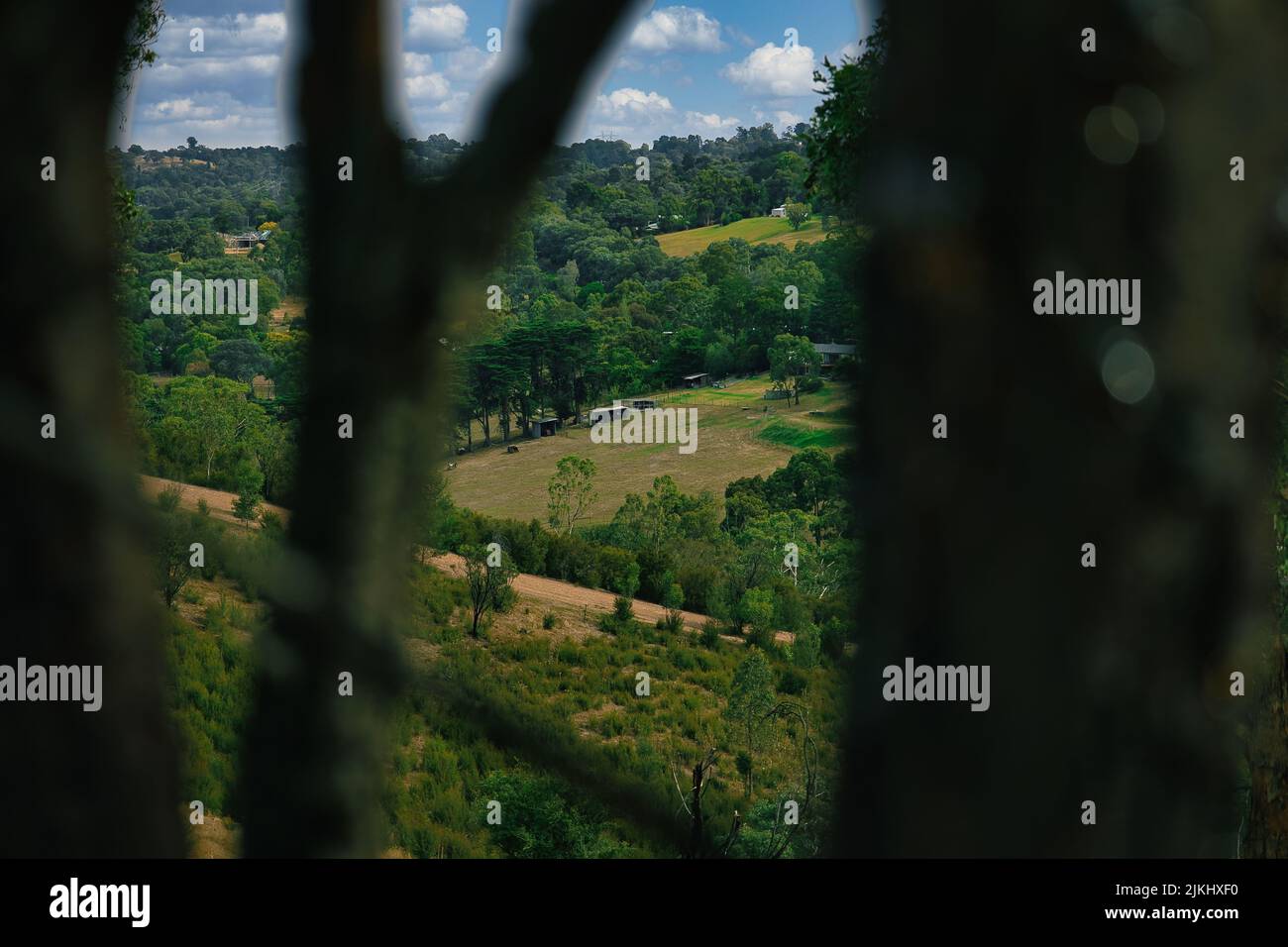 Una foto dei dintorni sulla cima del Monte Lofty a Melbourne. Foto Stock