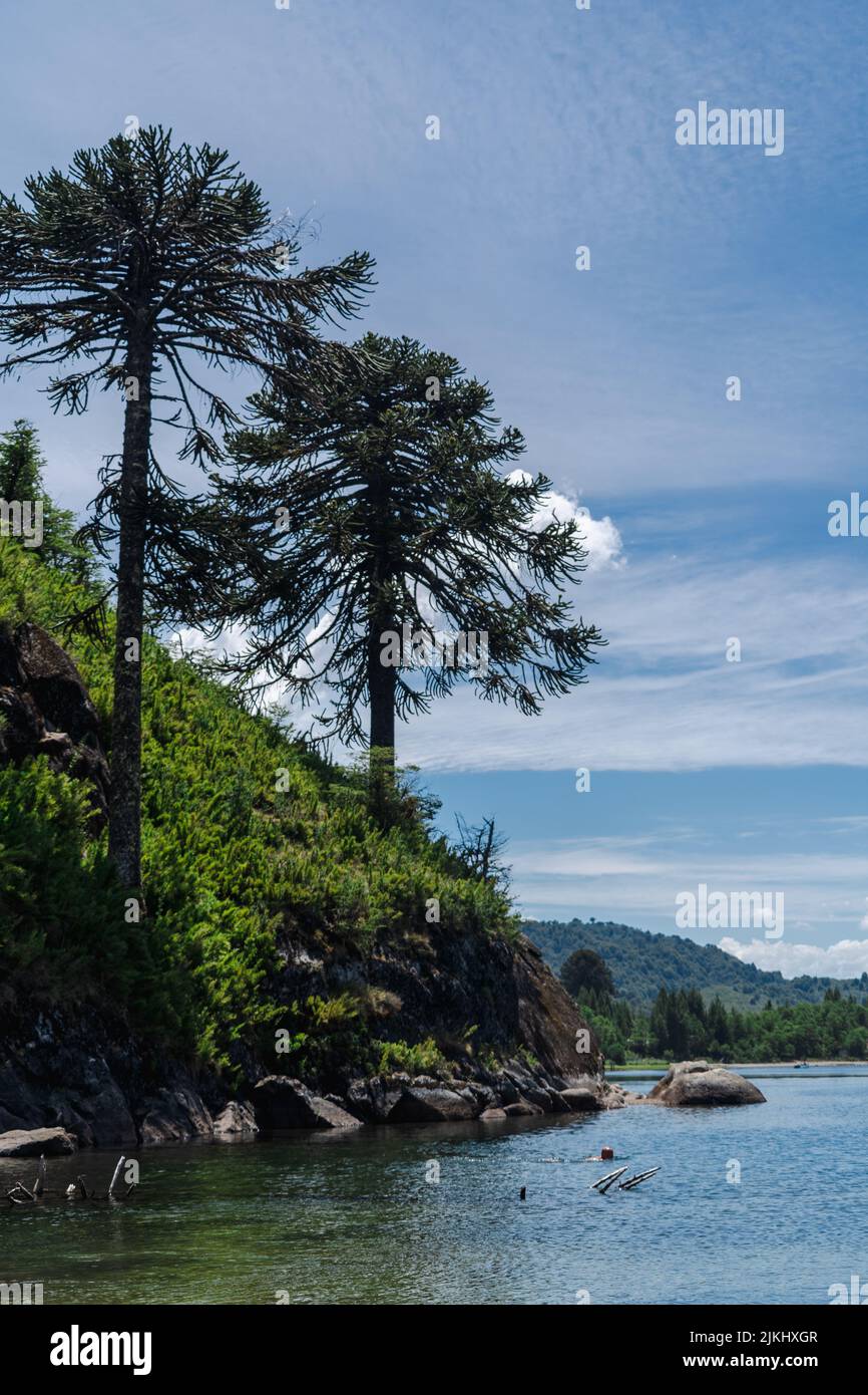 Un'incantevole vista sul mare circondata da alberi e montagne ad alta densità sullo sfondo Foto Stock