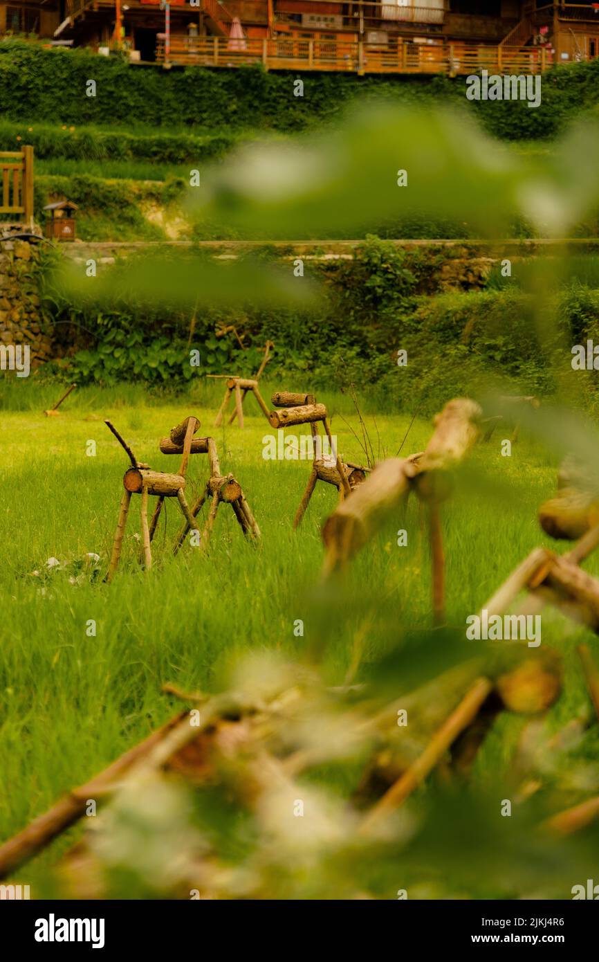 Una bella foto degli animali di legno usati come spaventapasseri nel Langde Miao Ethnic Minority Village, provincia di Guizhou, Cina Foto Stock