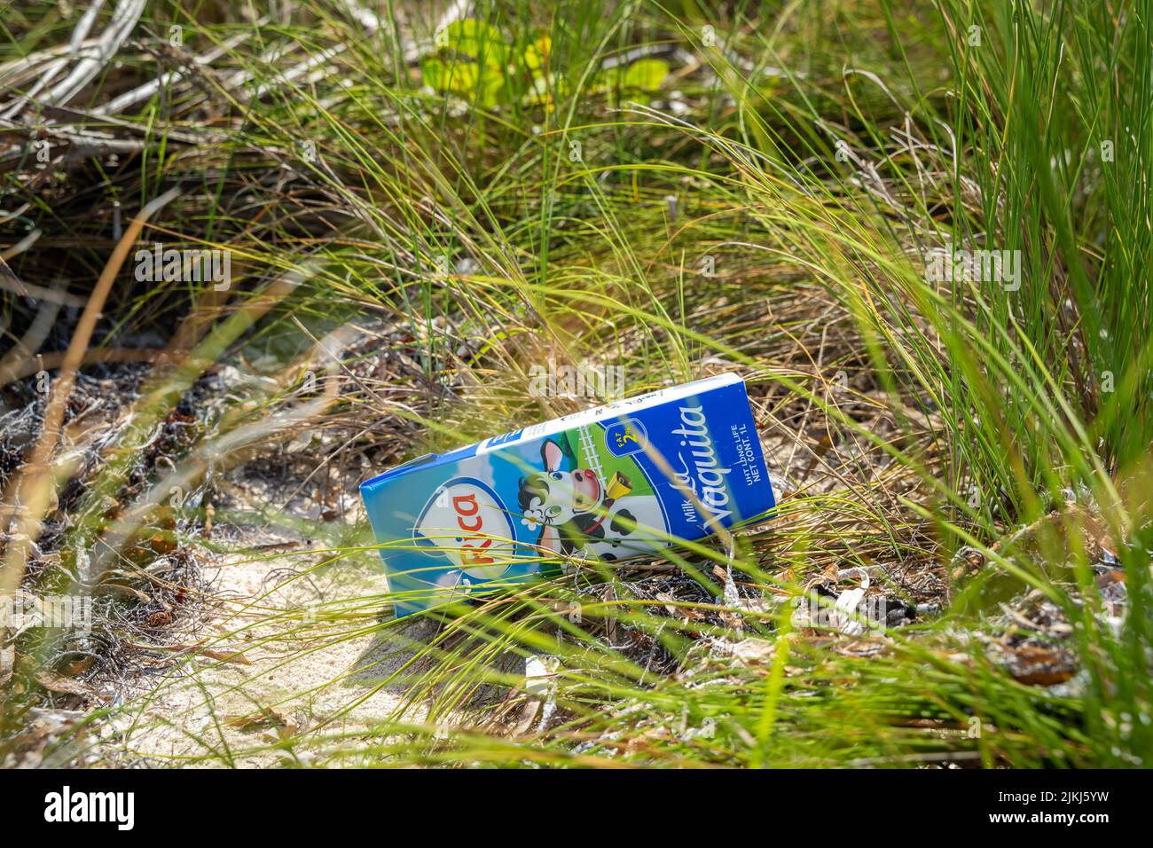 I rifiuti di plastica sulla spiaggia di Punta Cana, Repubblica Dominicana Foto Stock