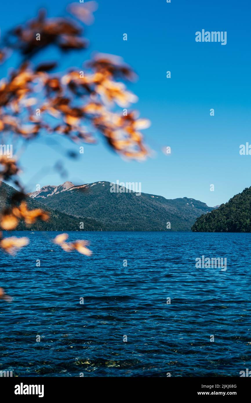 Una vista panoramica verticale del lago azzurro con foglie sfocate in primo piano Foto Stock