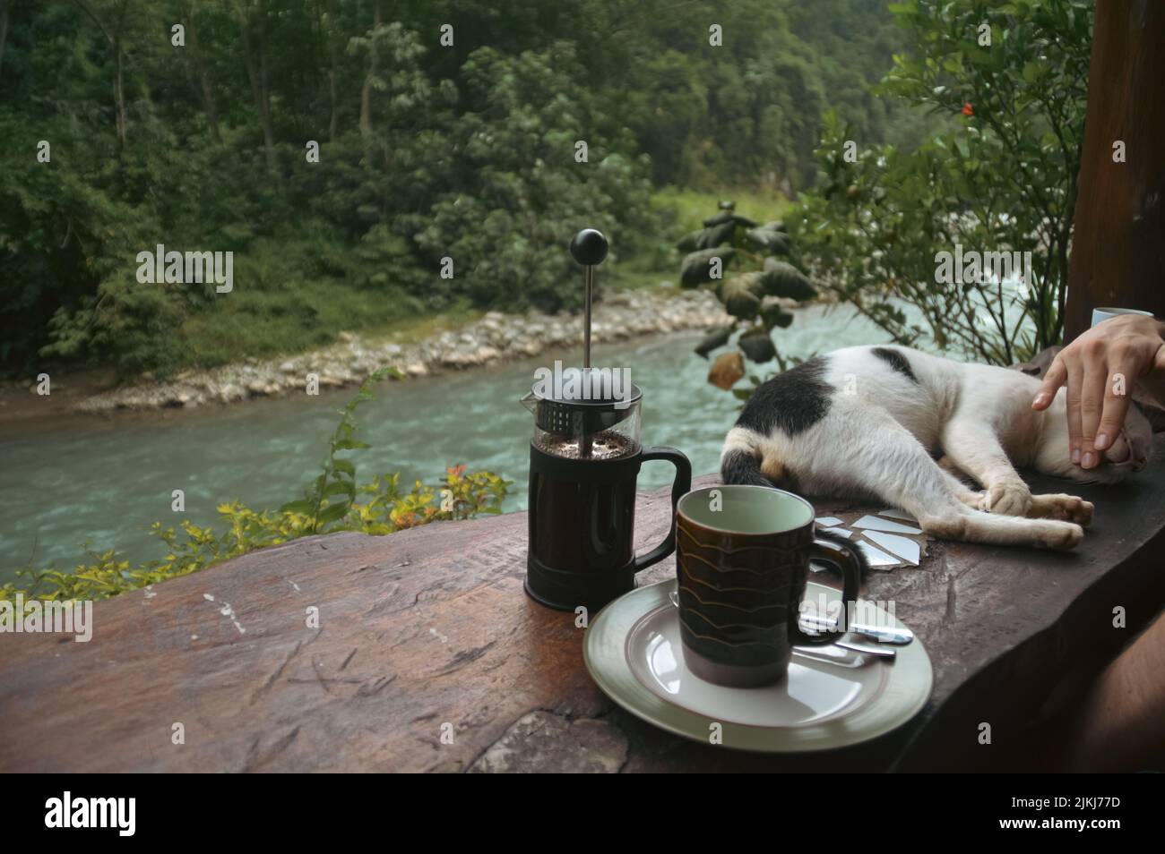 Un balcone di legno su un fiume con un gatto lounging, caffè e argenteria Foto Stock