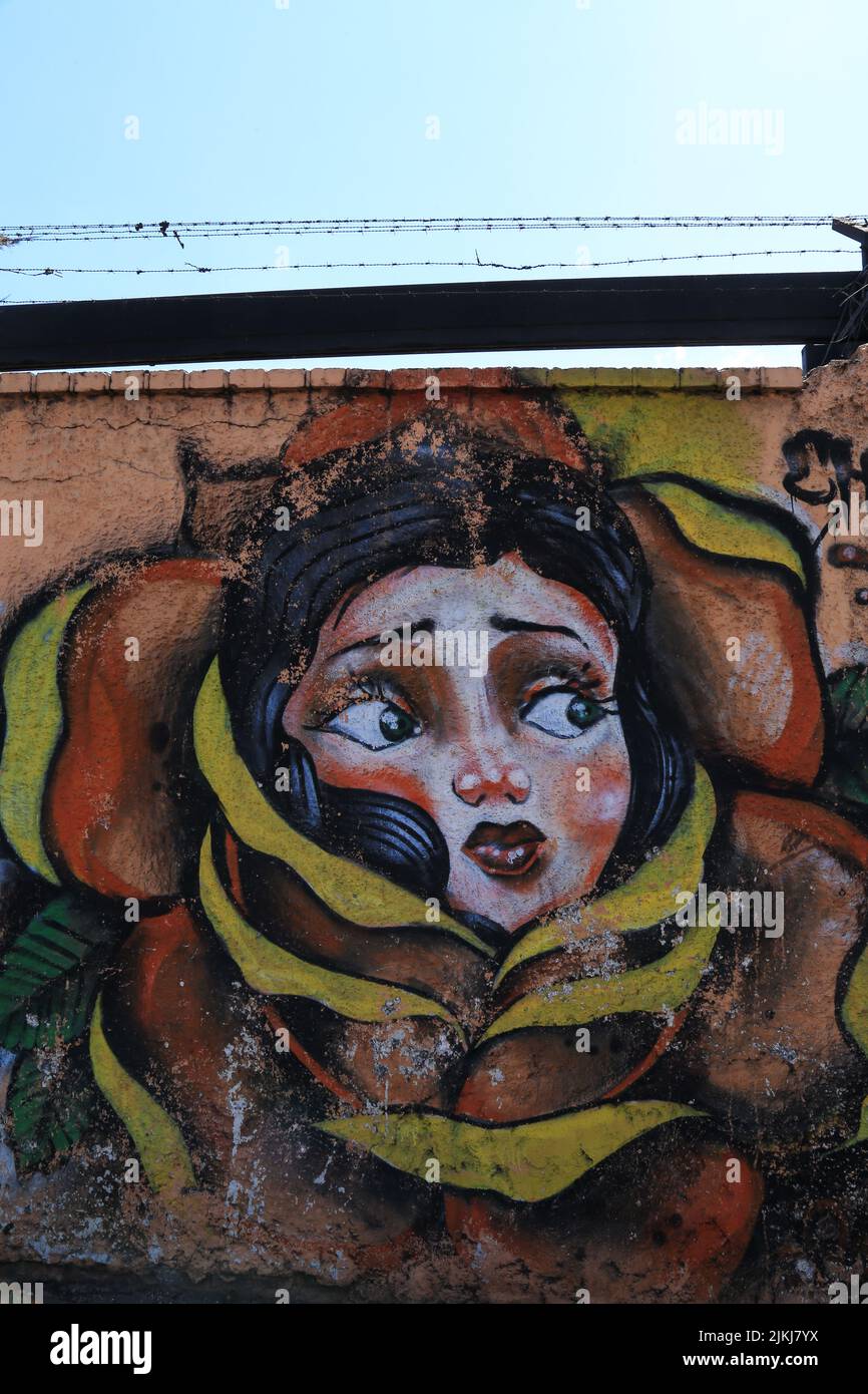 L'opera Graffiti con un fiore e una faccia ragazza nel centro, strada Costa Rica Foto Stock
