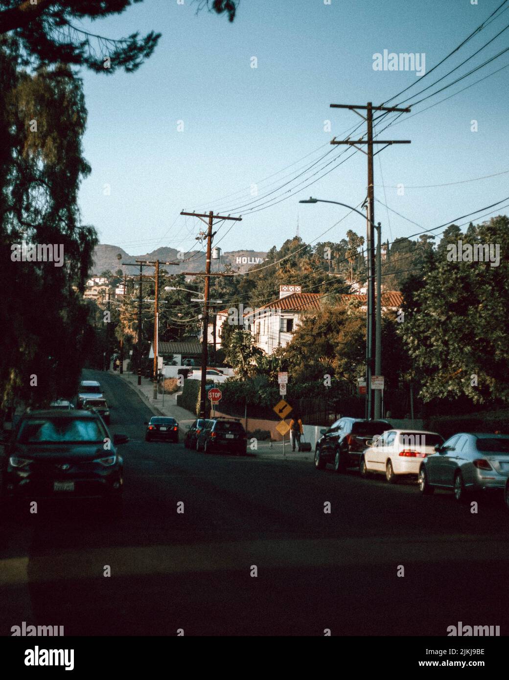 Una foto di una strada collinare a Hollywood durante l'estate Foto Stock