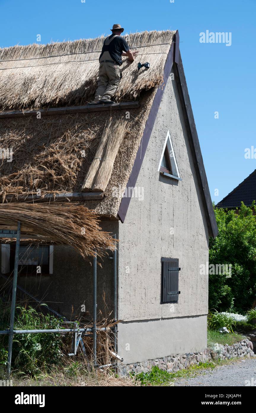 Germania, Meclemburgo-Pomerania occidentale, Mar Baltico, isola di Rügen, penisola Wittow, Villaggio di pescatori Vitt, thatcher Bernd Drews Foto Stock