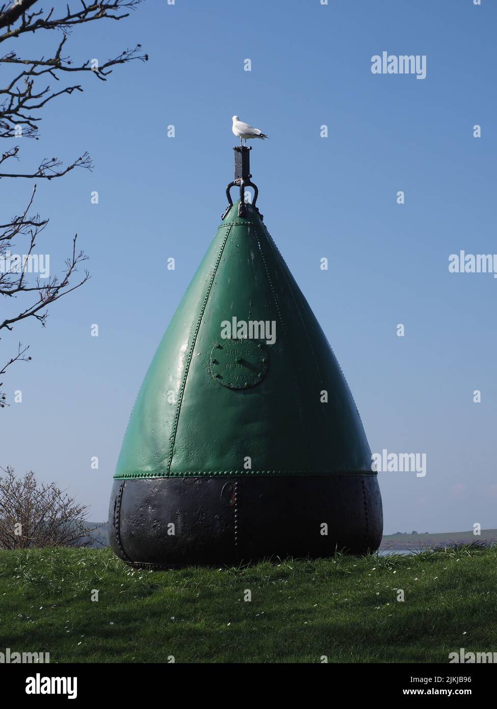 Un primo piano di un gabbiano sulla Buoy di testa di banco Foto Stock