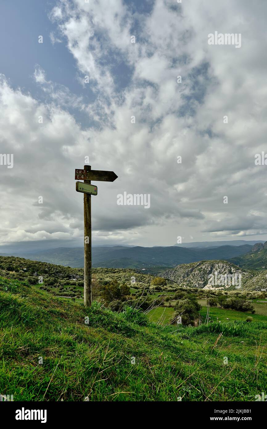 Primo piano di un segno in un campo verde Foto Stock