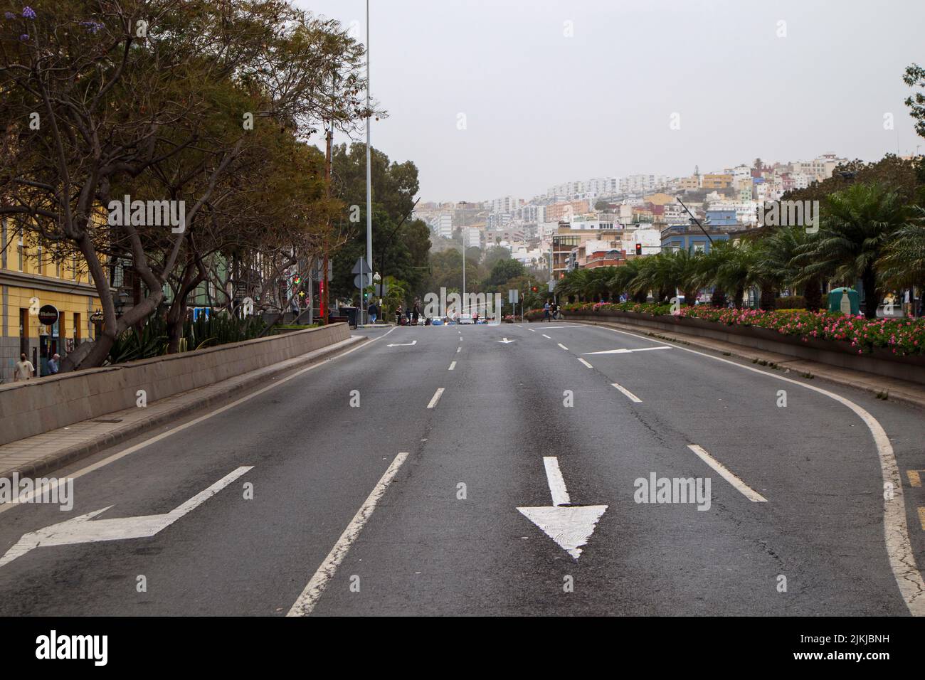 Una vista di una strada con palme a Gran Canaria, Spagna Foto Stock