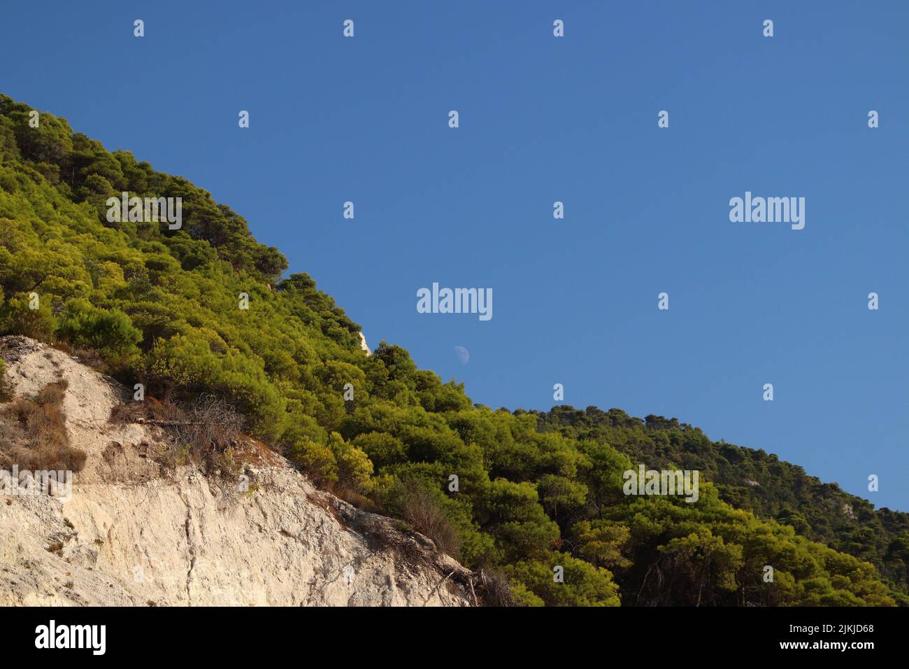 Un paesaggio naturale di una collina con alberi e il cielo blu con una mezzaluna lunare al mattino Foto Stock