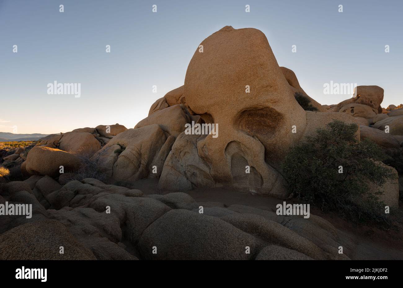 The Skull Rock nel Joshua Tree National Park all'alba, California, Stati Uniti Foto Stock
