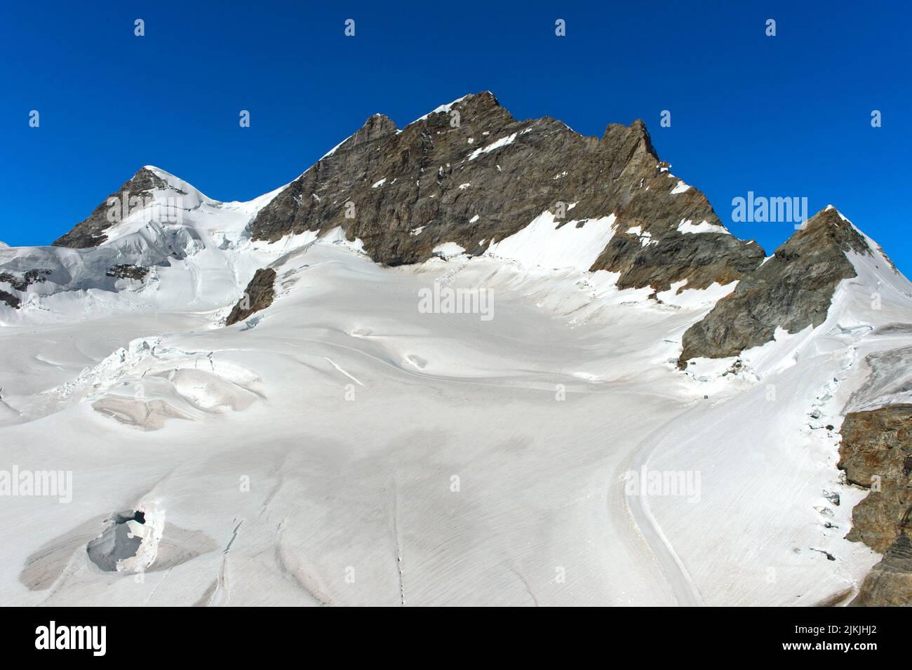Vista sulla Jungfraufirm fino alla cima della Jungfrau, Grindelwald, Oberland Bernese, Svizzera Foto Stock