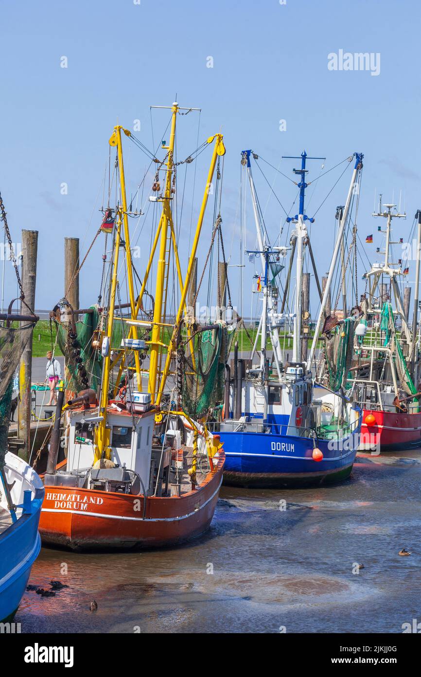 Kutterhafen, Dorumer Neufeld, Dorum, bassa Sassonia, Germania, Europa Foto Stock